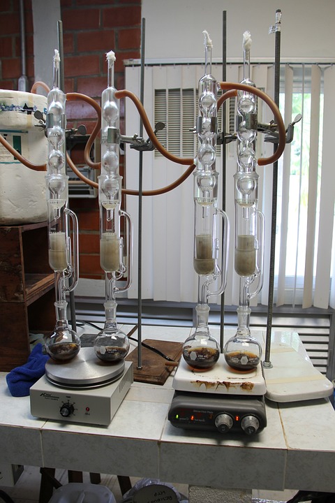 A career in biotechnology and life sciences offers many opportunities for Indian students A career in biotechnology and life sciences offers many opportunities for Indian students